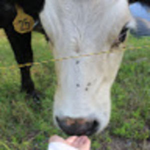 Meet your Posher, Bella